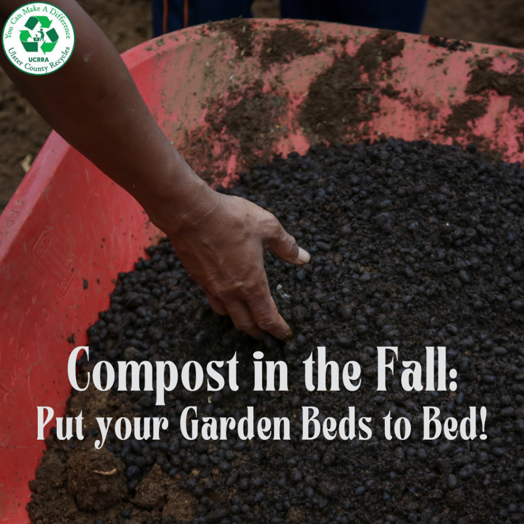Guide and Tips on How to Compost at Home - Blogs, News, and Events