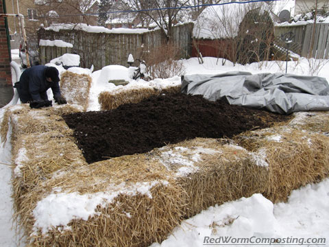 How to Start Composting in the Winter