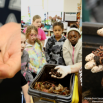 Highland Event Page Banner